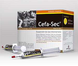 CEFA SEC