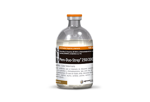 PEN DUO STREP 250/200