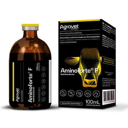 AMINOFORTE F