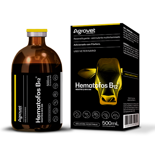 HEMATOFOS B12   