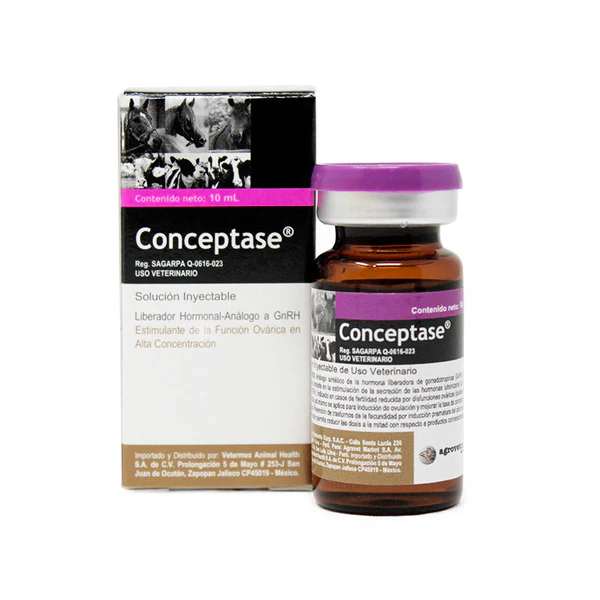 CONCEPTASE