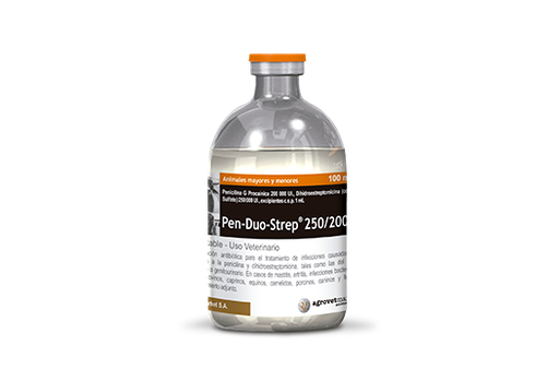 PEN DUO STREP 250/200