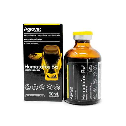 HEMATOFOS B12