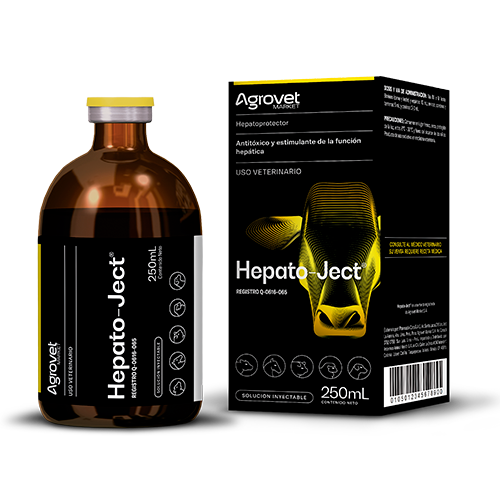 HEPATOJECT  