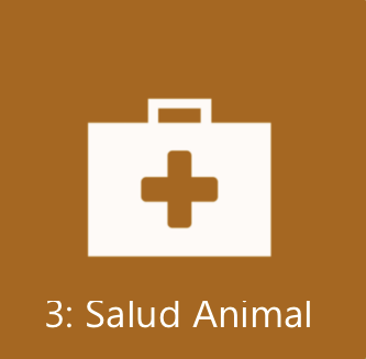 MODULO 3 - Salud animal