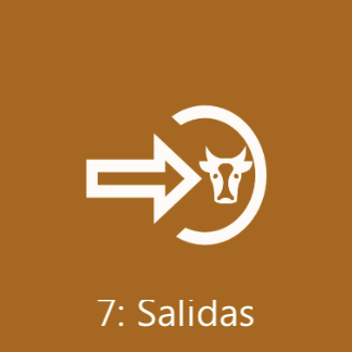 MODULO 7 - Salidas